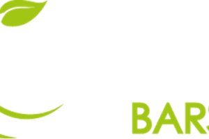 Healthy Bars - Egészséges szeletek